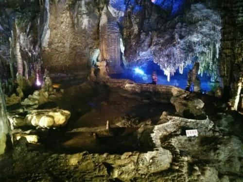 陈舜、罗平、惠建林、于天敏、邵志清、杨淑丽,同日履新