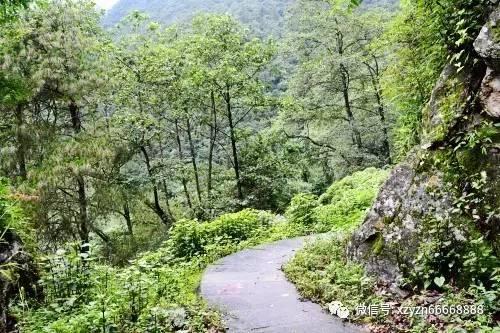 在苏轼看来,海南儋州的落后,与当地文教的匮乏有着直接的关系