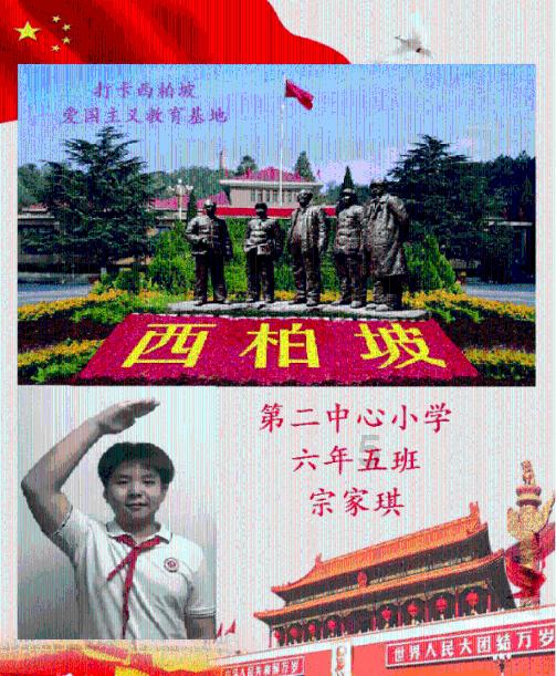 抖音滋补品类目怎么开通？滋补品燕窝报白流程步骤？入驻费用是多少