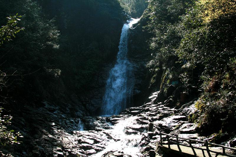 企鹅回城5之飞渡横木