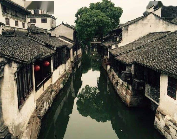 动物帮帮忙保卫家园